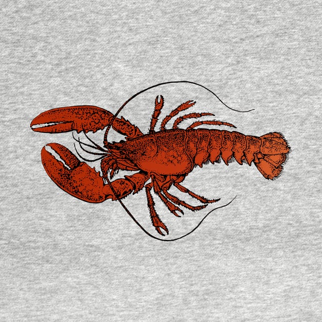 lobster pattern by B0red